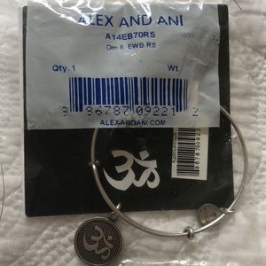 Alex and Ani Om II in silver